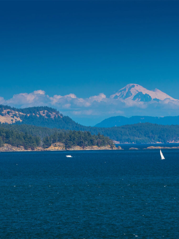 Chace Whitson Saanich Peninsula Real Estate Expert