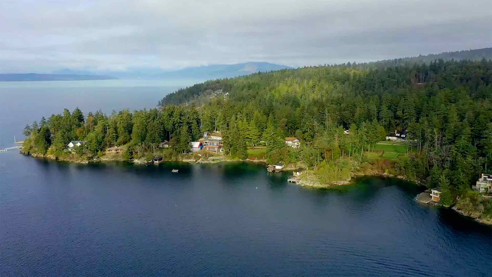 Chace Whitson Saanich Peninsula Real Estate Expert