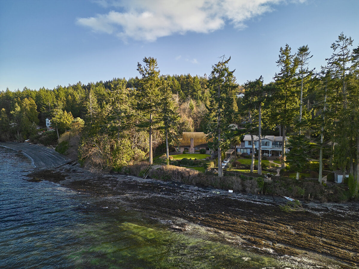 Chace Whitson Saanich Peninsula Real Estate Expert